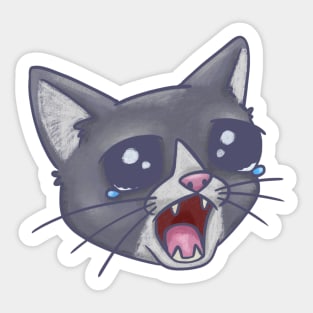 Crying Cat Meme Sticker